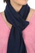 Cashmere accessories scarves mufflers ozone dress blue 160 x 30 cm