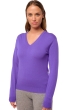 Cashmere ladies basic sweaters at low prices tessa first regent xl