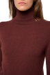 Cashmere ladies roll neck tale first cinnabar l