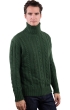 Cashmere men chunky sweater lucas cedar l