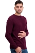 Cashmere men chunky sweater touraine first bordeaux s