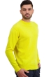 Cashmere men round necks nestor jaune citric l