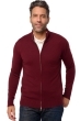 Cashmere men thobias first deep violet xl