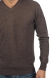 Cashmere men v necks gaspard marron chine 