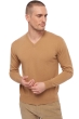 Cashmere men v necks hippolyte camel 