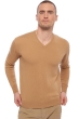 Cashmere men v necks hippolyte camel 